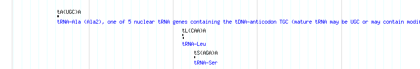 tRNAs detail