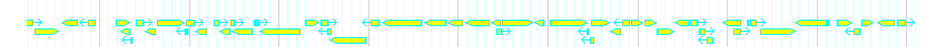 Genes detail