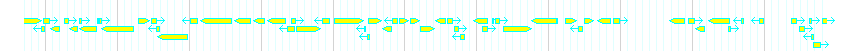Genes detail