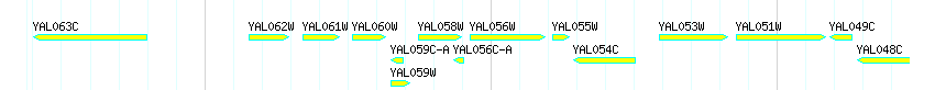 Genes detail
