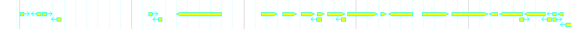 Genes detail