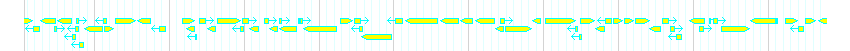 Genes detail