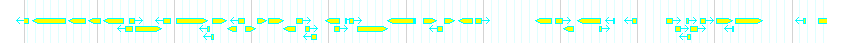 Genes detail