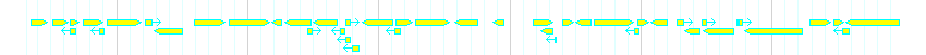 Genes detail