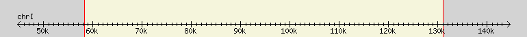 __scale__ region