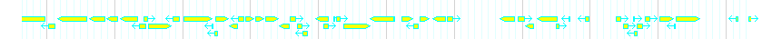 Genes detail
