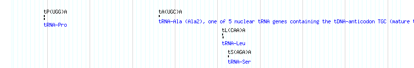 tRNAs detail