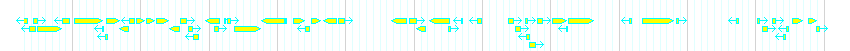 Genes detail
