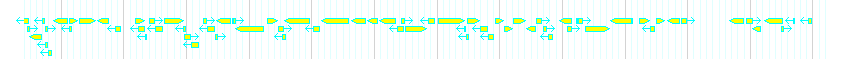 Genes detail