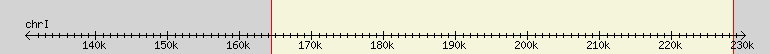 __scale__ region