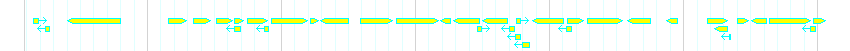 Genes detail