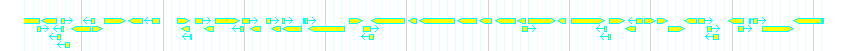 Genes detail