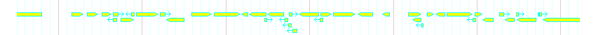 Genes detail
