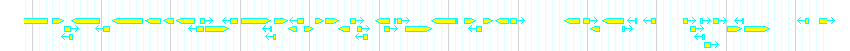Genes detail