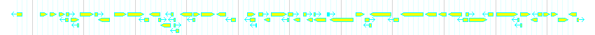 Genes detail