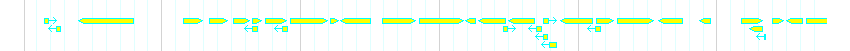 Genes detail