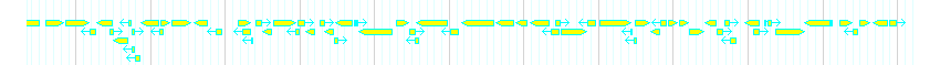 Genes detail