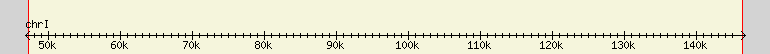 __scale__ region