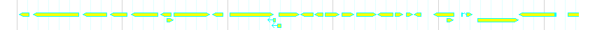 Genes detail