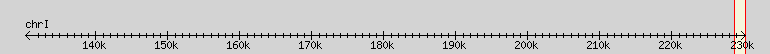 __scale__ region