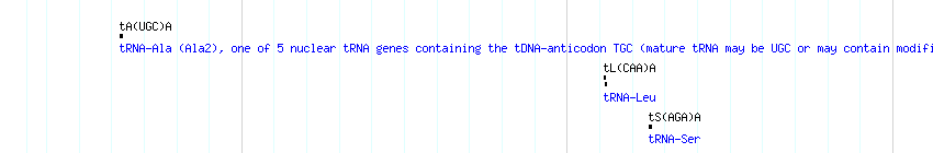 tRNAs detail
