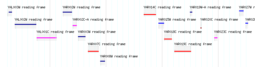 CDS detail
