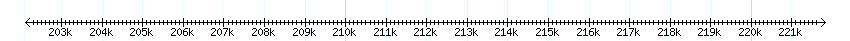 __scale__ detail