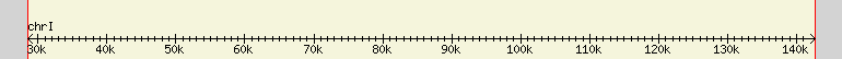 __scale__ region
