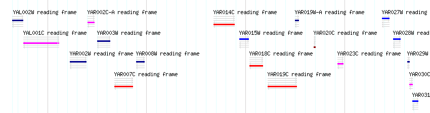 CDS detail