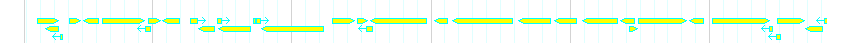 Genes detail