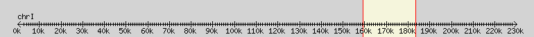 __scale__ overview