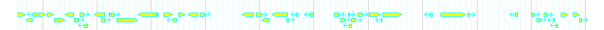 Genes detail