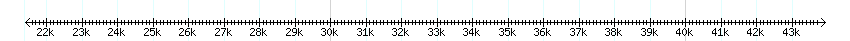 __scale__ detail