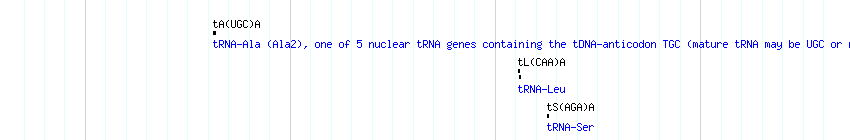 tRNAs detail