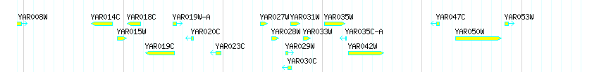 Genes detail