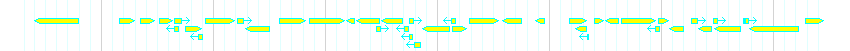 Genes detail