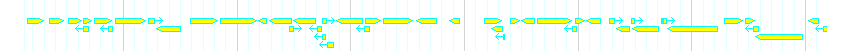 Genes detail