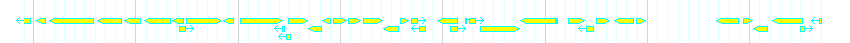 Genes detail