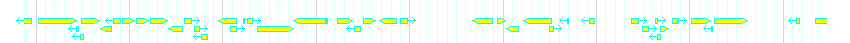 Genes detail
