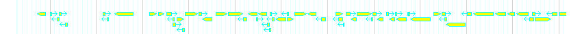 Genes detail