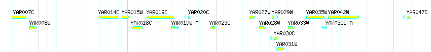 Genes detail