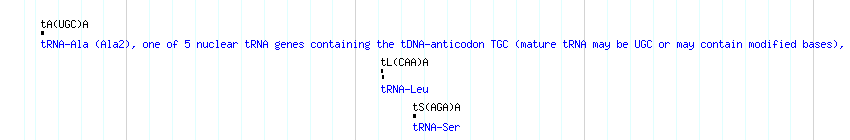 tRNAs detail