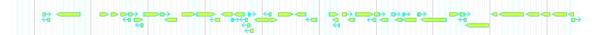 Genes detail