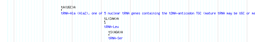 tRNAs detail