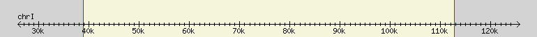 __scale__ region