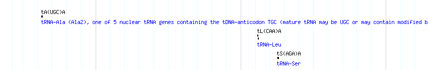 tRNAs detail
