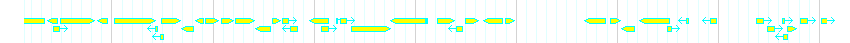 Genes detail
