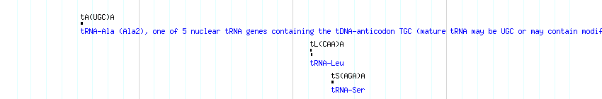 tRNAs detail