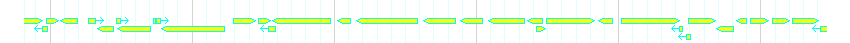 Genes detail