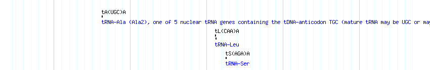 tRNAs detail